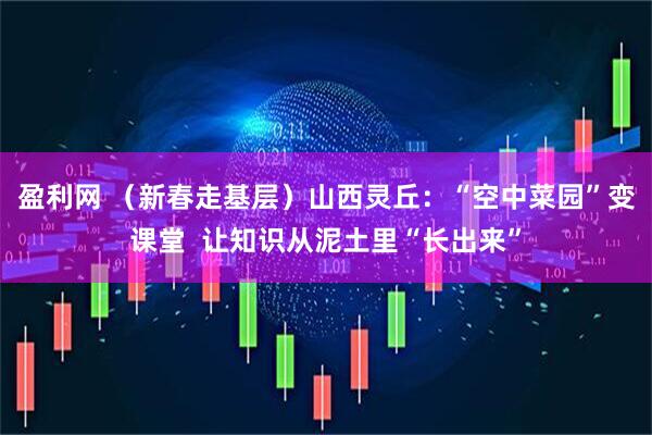 盈利网 （新春走基层）山西灵丘：“空中菜园”变课堂  让知识从泥土里“长出来”